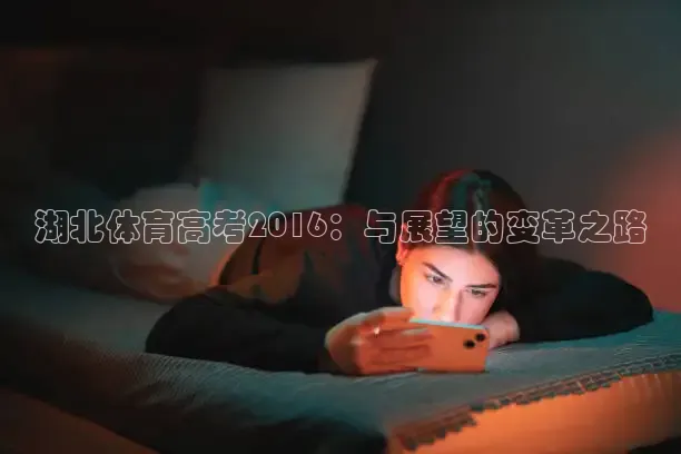 蜘蛛体育
